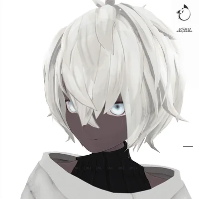 【３Dモデルアクセサリ】Hair_Astral