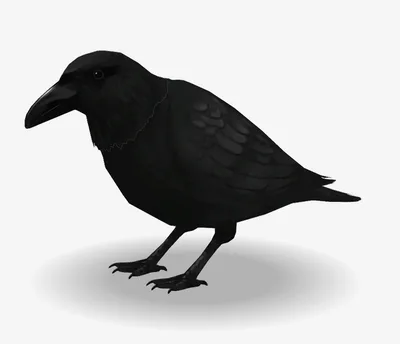 【VRM】ガチカラスアバター