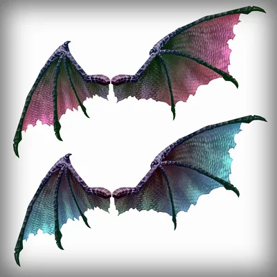 VRCアバター向けオリジナルアクセサリ３Dモデル『ドラゴンウィング』アニメーション付き