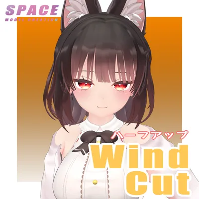 ハーフアップウインドカット[Physics Bone]