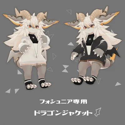 【フォシュニア専用】ドラゴンジャケット