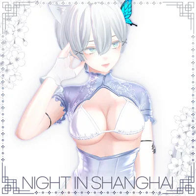 【森羅対応】ナイト・イン・シャンハイ