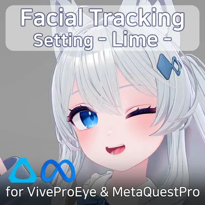 Lime(ライム)'s FacialTracking Setting