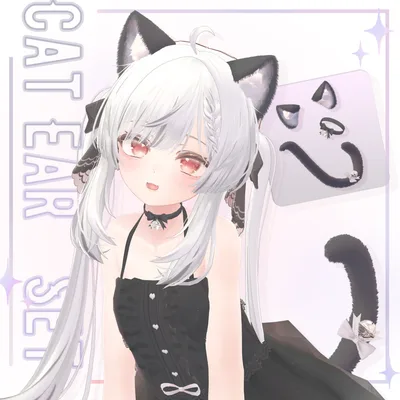 ‧₊⁺ Cat Ear Set ‧₊⁺