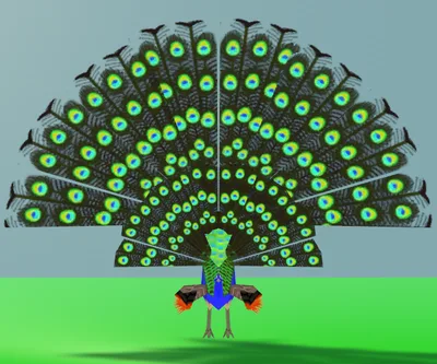 【無料！】クジャクアバター【△248】【求愛モーション+飛行モーション付き】