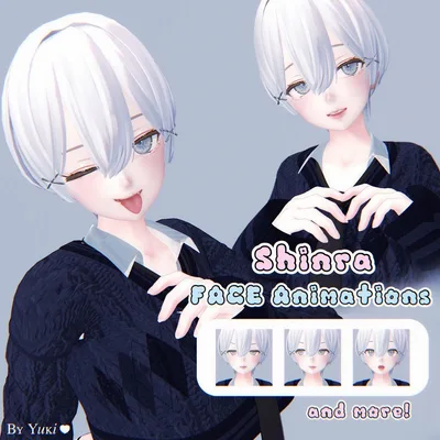 Shinra 森羅 12 Face Animations