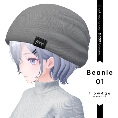 Beanie 01【フォロワー3,000人記念／VRChat想定】