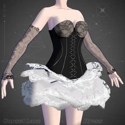 Lace Corset Dress & Sleeves Set