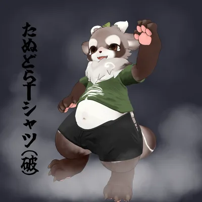 たぬどらTシャツ（破）