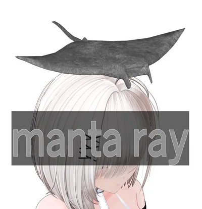manta ray-マンタ-