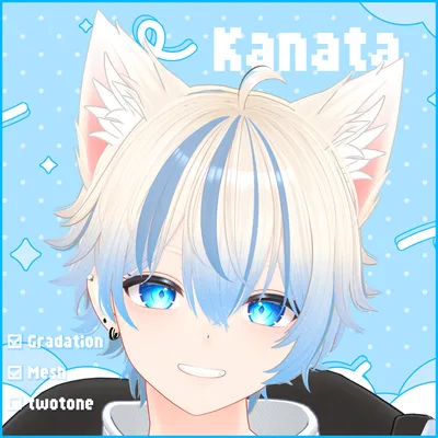 【彼方専用】Hairグラデーション メッシュ・ツートンカラー【セットアップ動画付き】