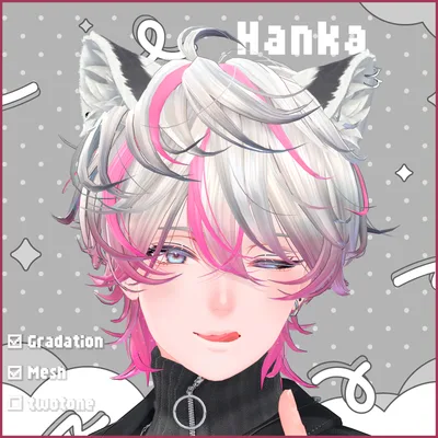 【斑霞専用】Hairグラデーション メッシュ・ツートンカラー【セットアップ動画付き】