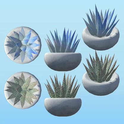 PPSucculents 多肉植物