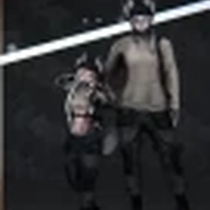 ALAN1 & ALAR1C