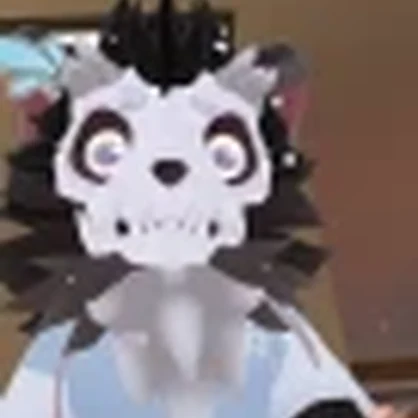 Havik the Skull Cat