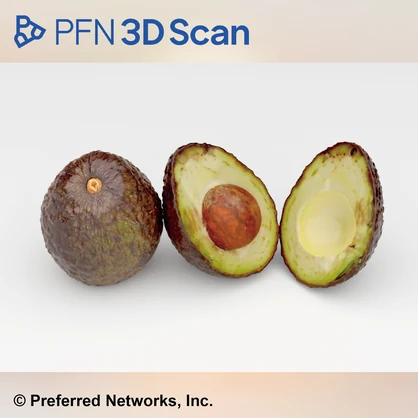【PFN 3D Scan】アボカド（3点セット）