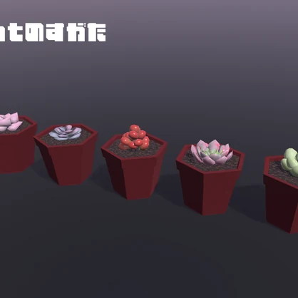 【3Dモデル】多肉植物5種セット