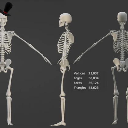 Silly skelly