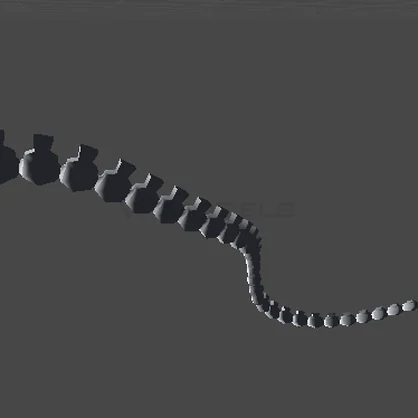 Skeleton tail