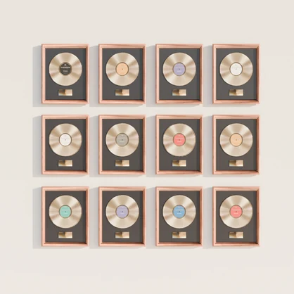 Record/Vinyl Frames