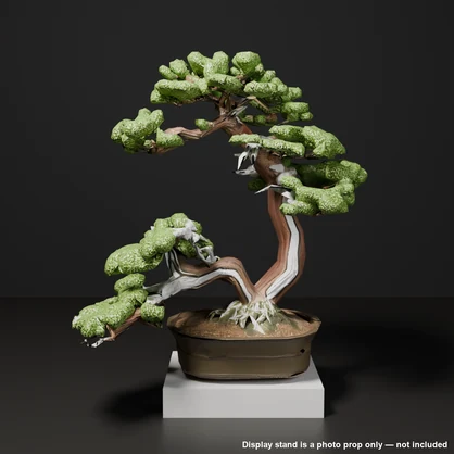 Japanese Bonsai - Large Shimpaku Juniper Twin Trunk with Shari (Hiyoku) | VRChat World Prop