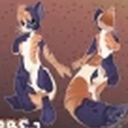 Kitty Base