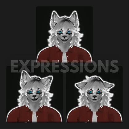 Asher, Male Grey Wolf