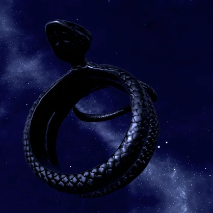 SnakeRing.BlackSilver