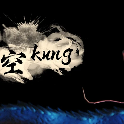 Kung Silently Dive The Sky