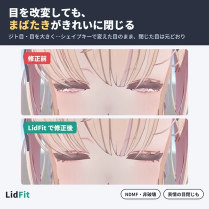 目を改変してもまばたきがきれいに閉じる LidFit【NDMF・非破壊】