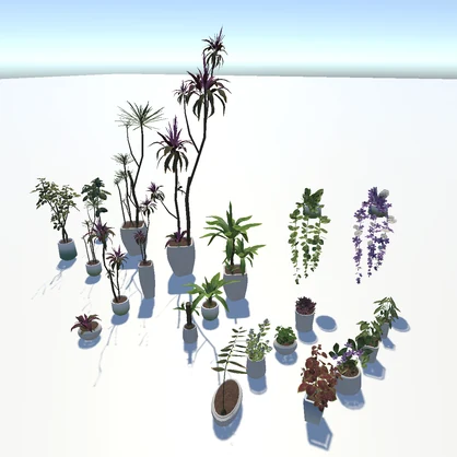 Indoor Potted Plant Collection--室内盆栽合集