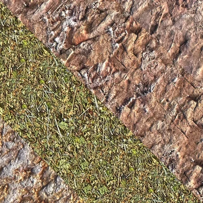Outdoor Ground