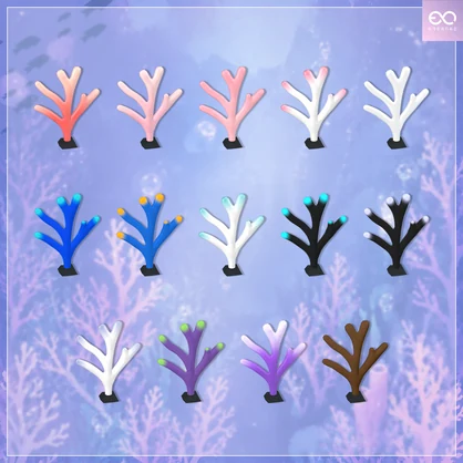珊瑚角 | Coral Horn