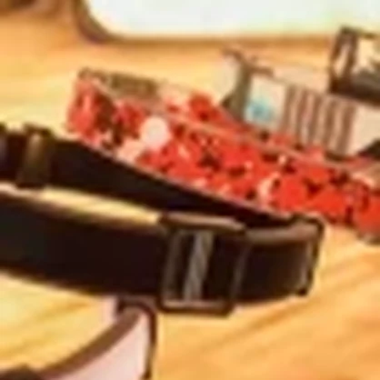 VRChat Collar and Leash System