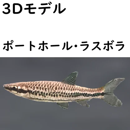 ポートホール・ラスボラ【VRChat想定】