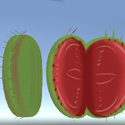 食虫植物（ウツボカズラ＆ハエトリグサ）