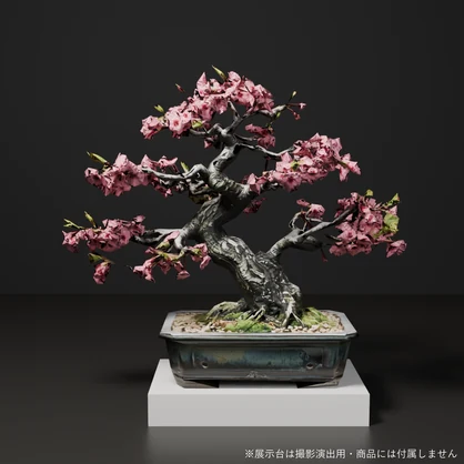盆栽 桜 花雲｜VRChat向け和風3D置物・満開の八重桜【ワールド装飾】