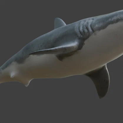 【3Dモデル】泳ぐサメ - Swimming Shark【アニメーション付き/VRChat・UE5対応】