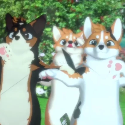 Corgi Roll