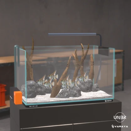 VARAYA/SUISOU(＋AQUARIA Addon)