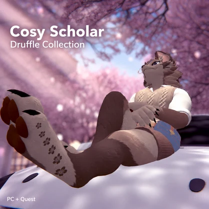 Druffle Cosy Scholar Collection | PC + Quest