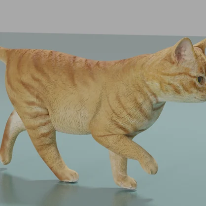 猫（茶トラ）　3Dモデル