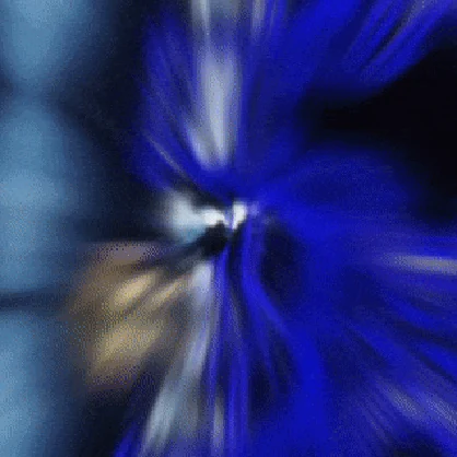 ☾︎𝒁𝑨𝑽𝑬𝑳𝑳𝑬☽︎ (PC+Q+FT+NSFW+Limb Scailing)