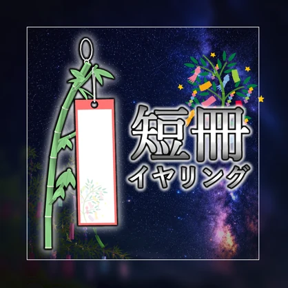 七夕の短冊イヤリング🎋