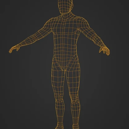 3DCG人体モデル　（ハイポリ・ローポリ）