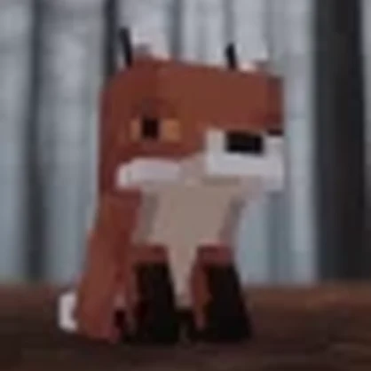MC Fox follower