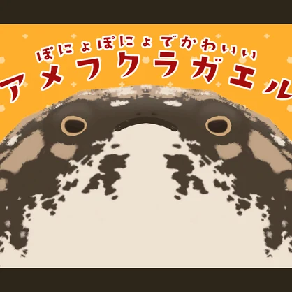 ぽにょぽにょで可愛い!!『アメフクラガエル』PBで沢山ぽにょぽにょ!!
