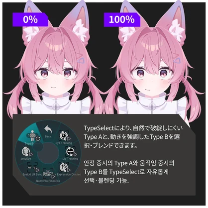FacialTracking for PLUM「プラム」