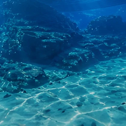 【ワールド・環境】水族館の魚の気持ち 水槽からみた世界 SKYBOXマテリアル