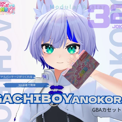 【販売セール/VRCアバター向けギミック】GACHIBOYANOKORO パッケージ